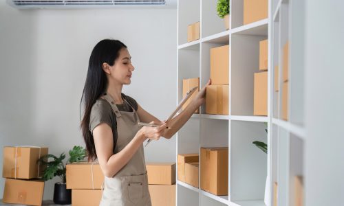 Young Woman Checking Product Stock in Modern Warehouse with Clipboard and Boxes on Shelves Young Woman Checking Product Stock in Modern Warehouse with Clipboard and Boxes on Shelves